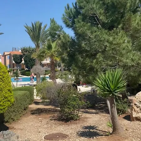 Newly Renovated- Regina Gardens 1, Venus 500 M, Sea&sunsets View, License Ooo7141 Paphos